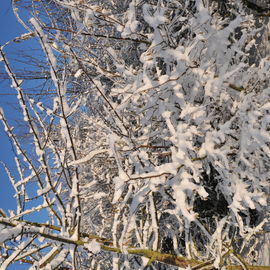 Découvrez les paysages Combs-la-Villais, en 2010 et début 2017, vêtus de neige.