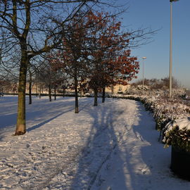 Découvrez les paysages Combs-la-Villais, en 2010 et début 2017, vêtus de neige.