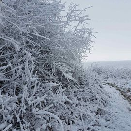 Découvrez les paysages Combs-la-Villais, en 2010 et début 2017, vêtus de neige.