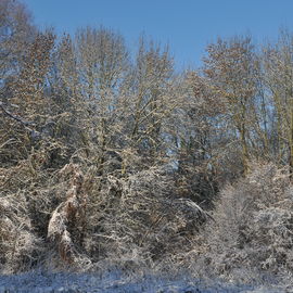 Découvrez les paysages Combs-la-Villais, en 2010 et début 2017, vêtus de neige.