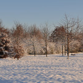 Découvrez les paysages Combs-la-Villais, en 2010 et début 2017, vêtus de neige.