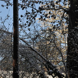 Découvrez les paysages Combs-la-Villais, en 2010 et début 2017, vêtus de neige.