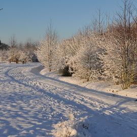 Découvrez les paysages Combs-la-Villais, en 2010 et début 2017, vêtus de neige.