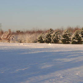 Découvrez les paysages Combs-la-Villais, en 2010 et début 2017, vêtus de neige.